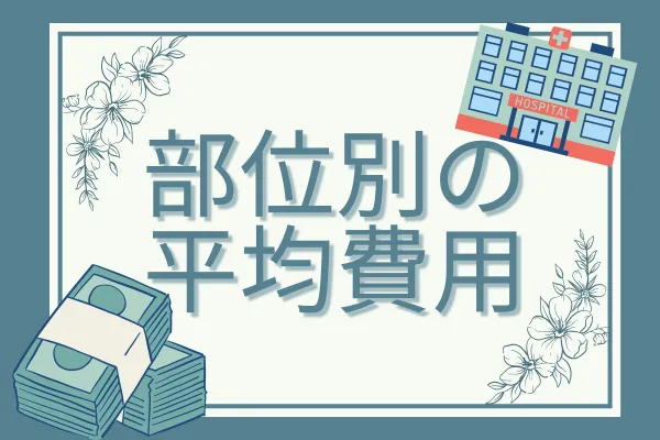 脂肪吸引の基本情報④部位別の平均費用