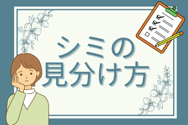 シミ取りの基本情報①4種類あるシミ