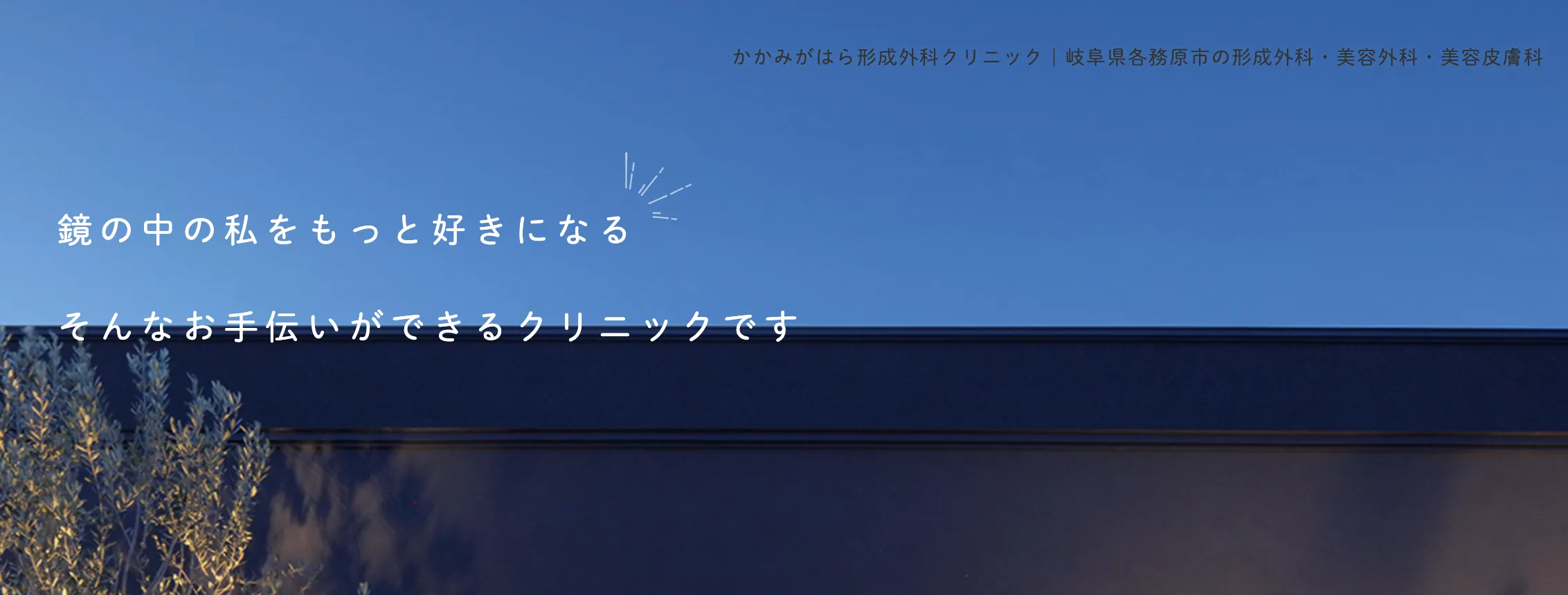 かかみがはら形成外科クリニック｜4種類の施術方法から選べる